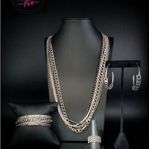 Magnificent Musings 4 Pc Set (Necklace, Earrings, Ring, and 6pc Bracelet Set).
